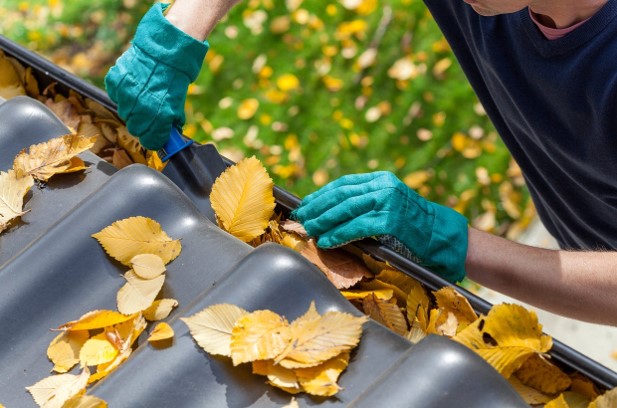 How to Clean Gutters Like a Pro