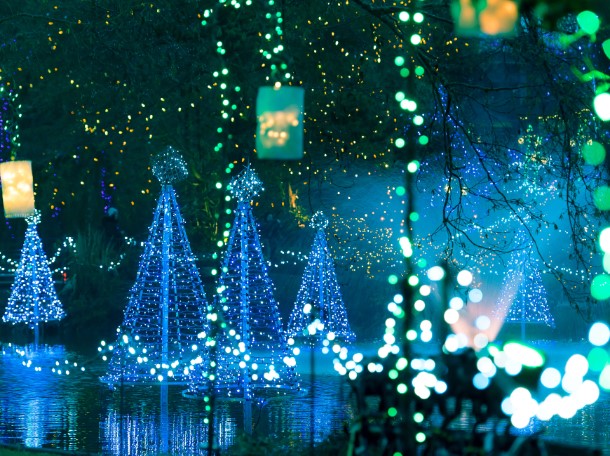 10 Advantages of LED Christmas Lighting