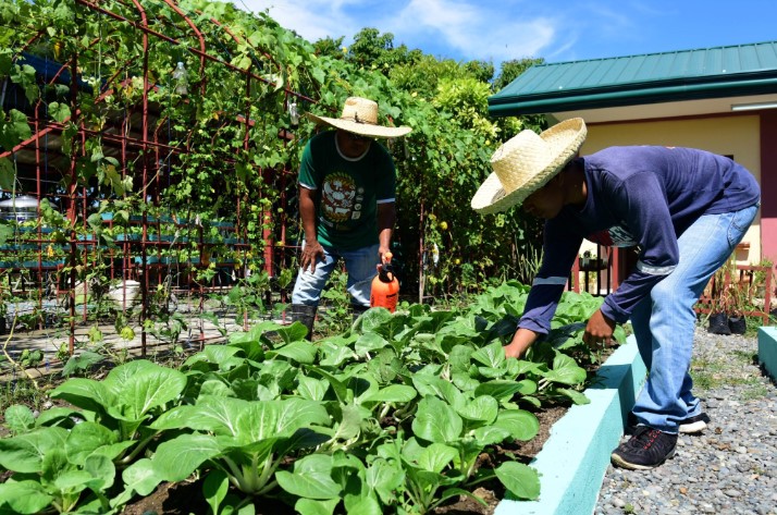 Backyard Gardening: A Comprehensive Guide