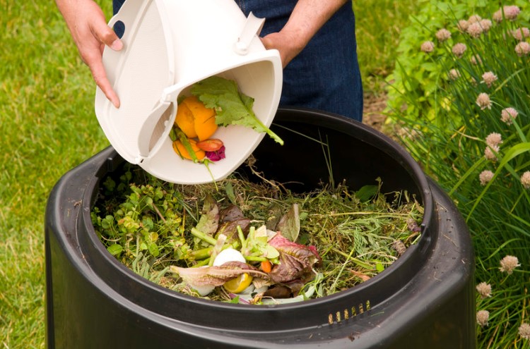 The Ultimate Guide to Garden Compost: Everything You Need to Know