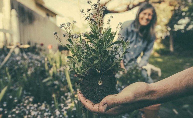 Home Gardening: Cultivating Your Green Space