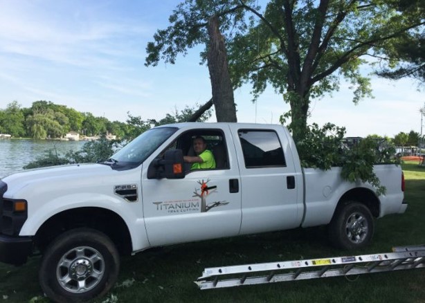 Top Trees for Commercial Use: A Guide by Commercial Tree Service Experts