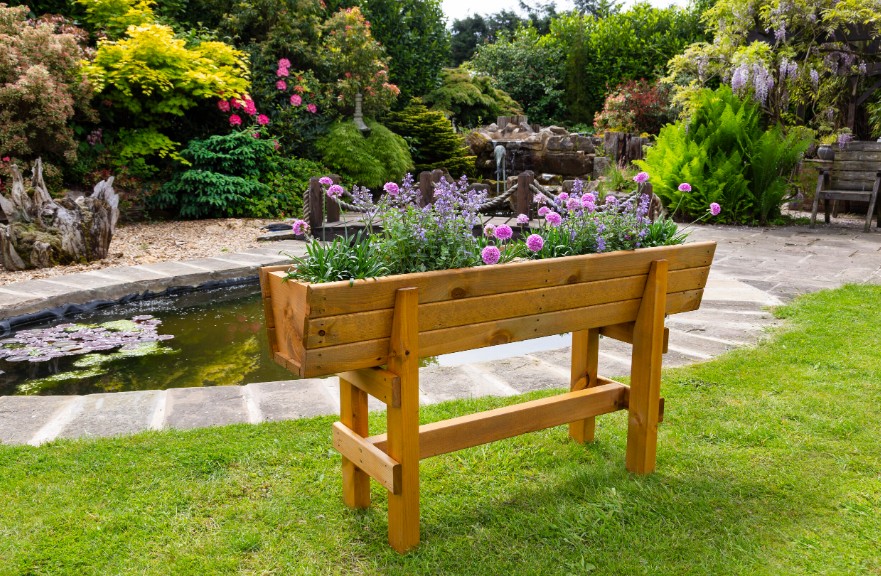 Top 5 Online Nurseries Every Plant Lover Should Know